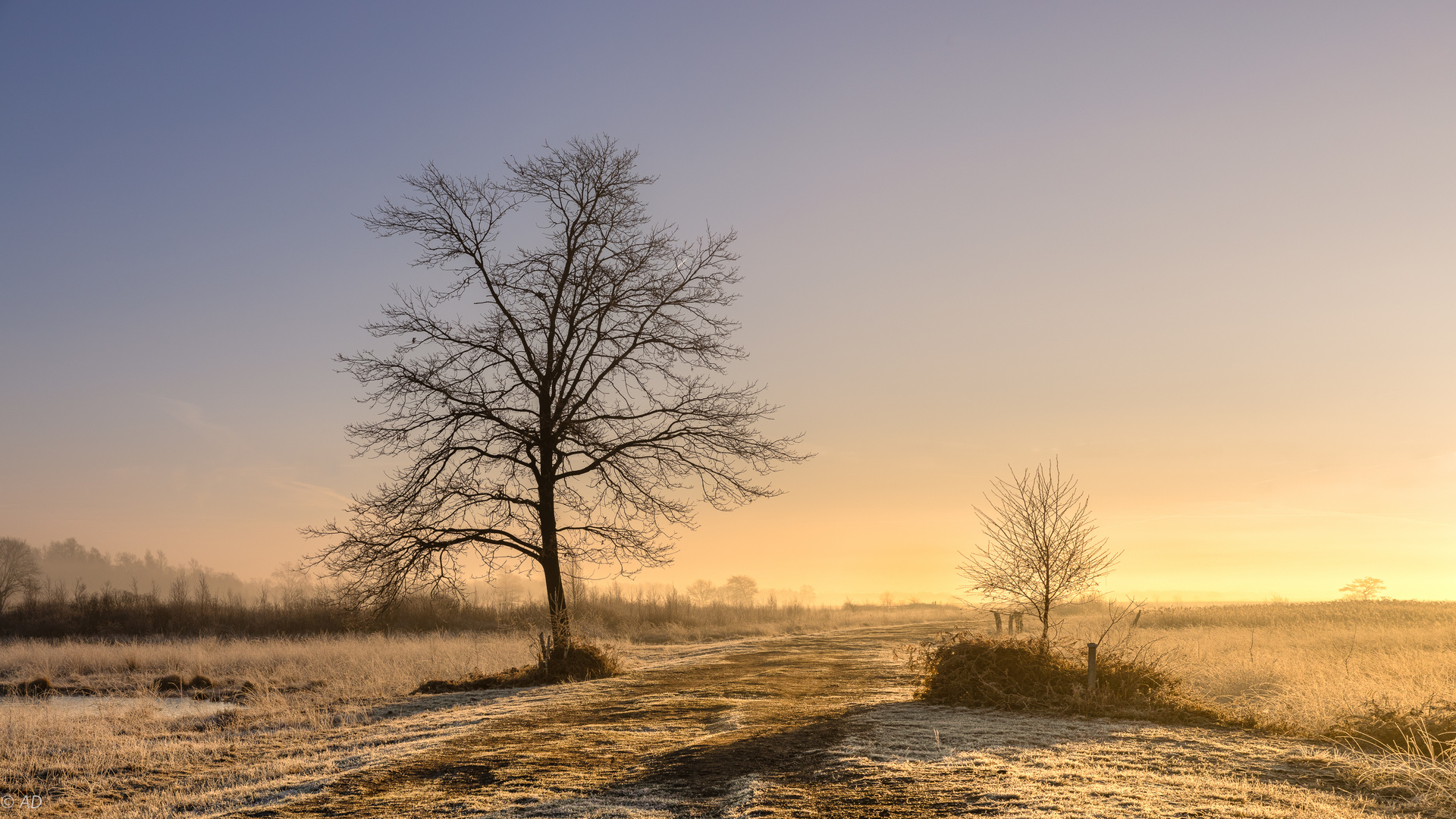 Die Sonne spricht...