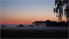 Die Sonne spuckt den Morgen aus