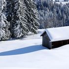 Die Sonne steht noch tief im Bregenzerwald ...