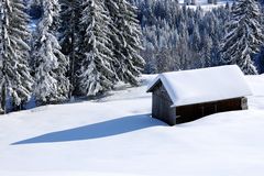 Die Sonne steht noch tief im Bregenzerwald ...