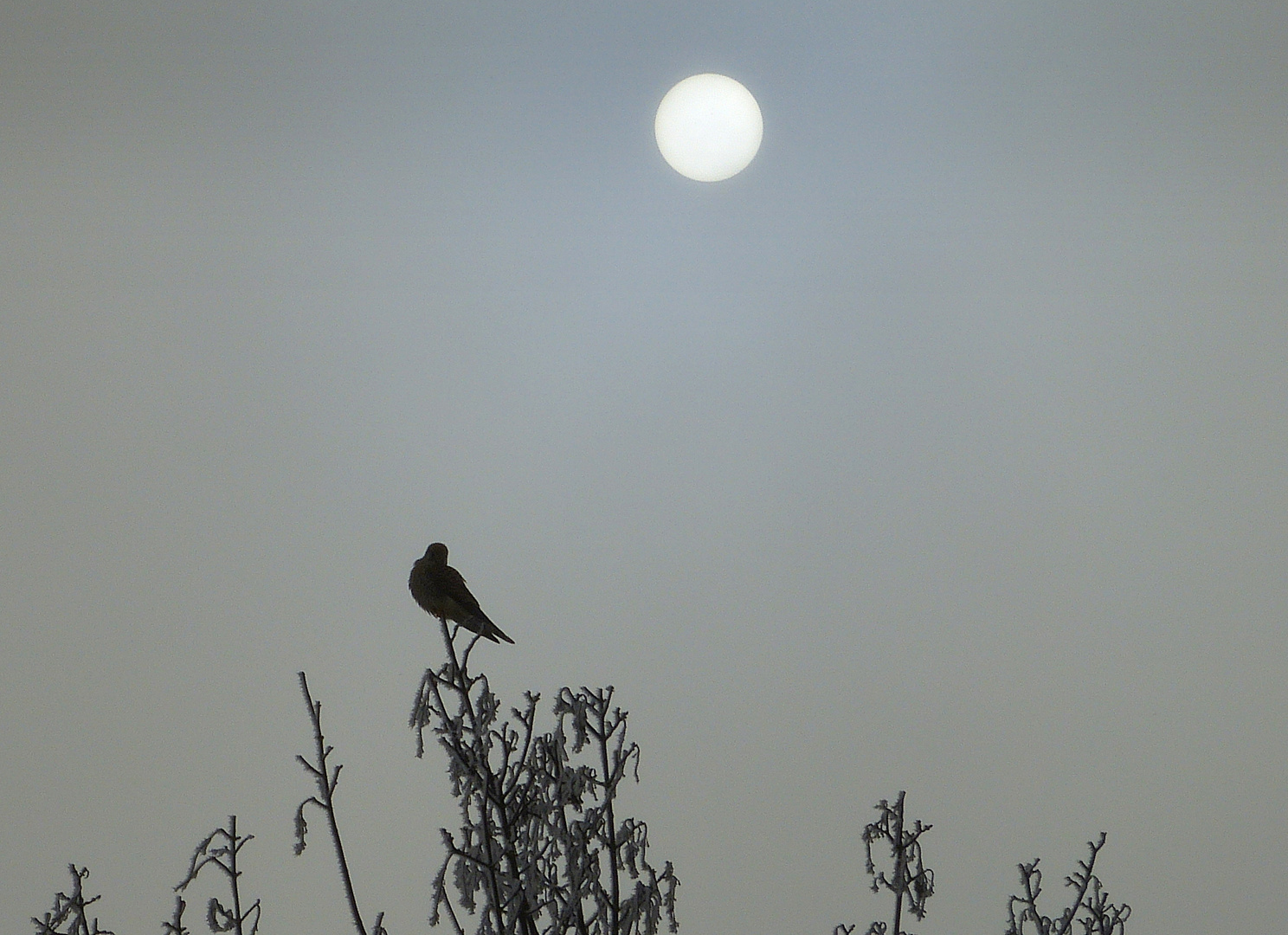 Die Sonne steht schon hoch, aber...