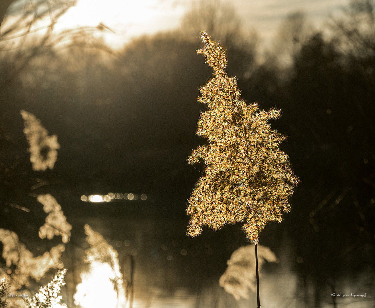 Die Sonne steht tief