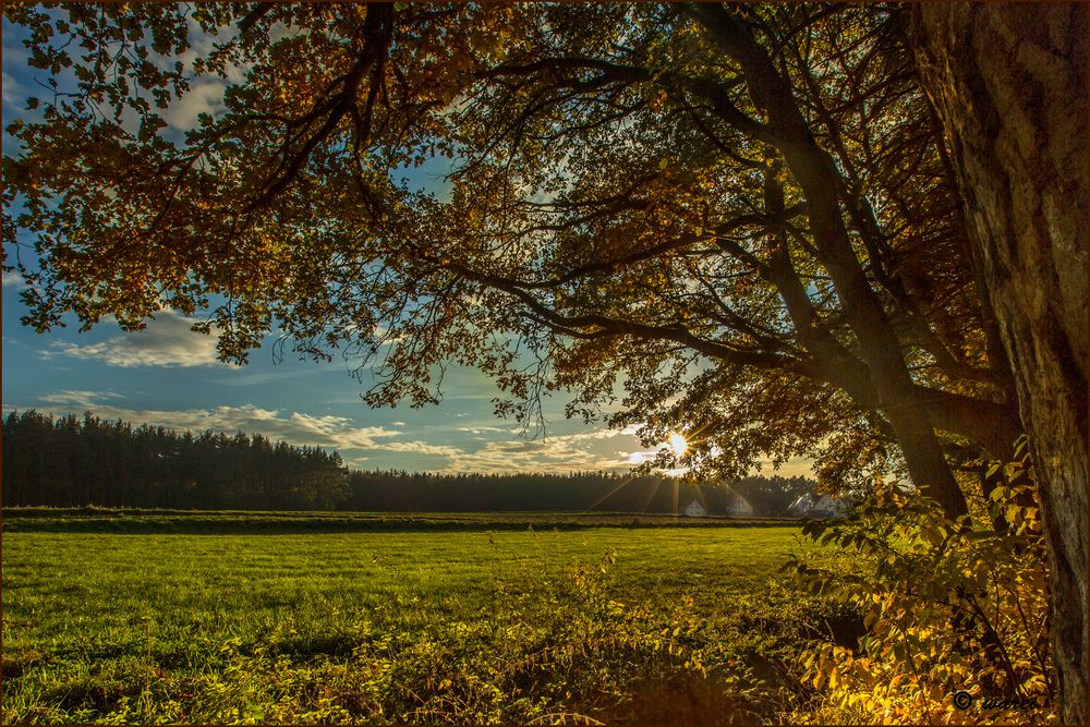 Die Sonne steht tief