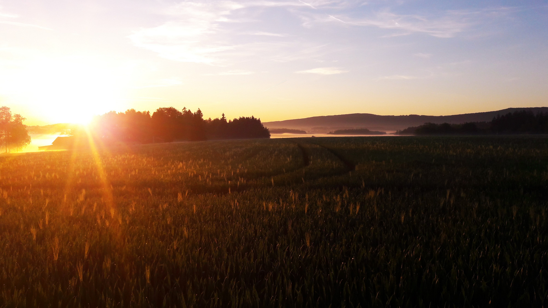 Die Sonne  steigt und es  wird heller im Fichtelgebirge 