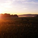 Die Sonne  steigt und es  wird heller im Fichtelgebirge 