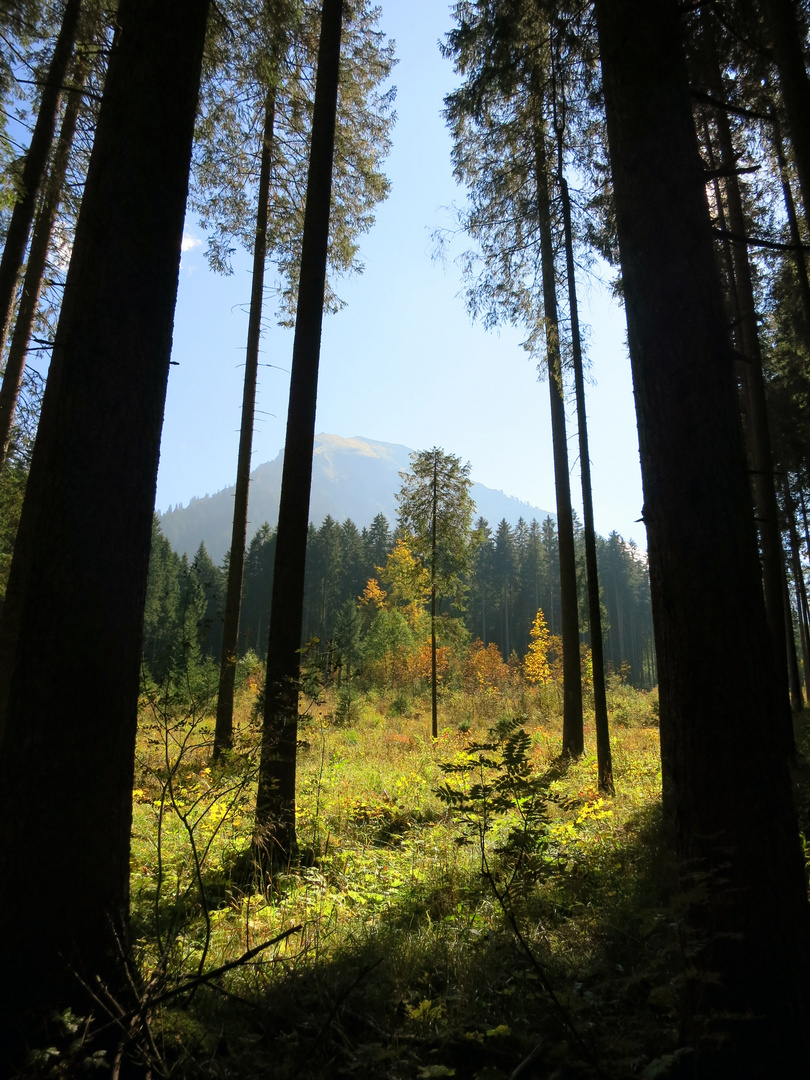 Die Sonne strahlt 