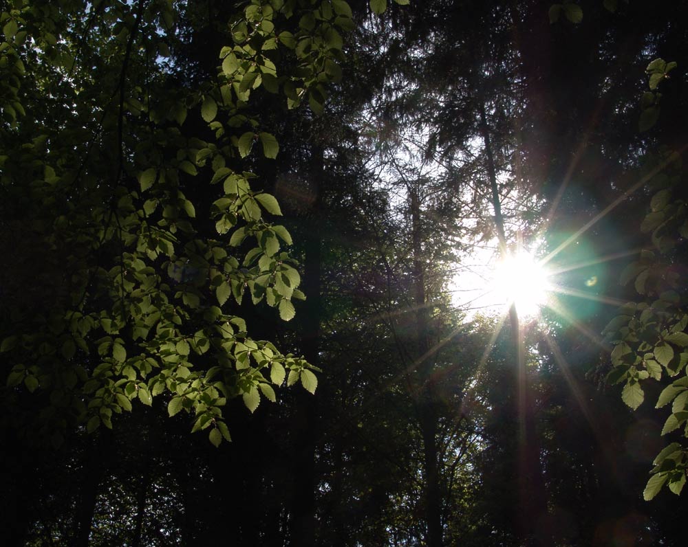 die Sonne strahlt durch