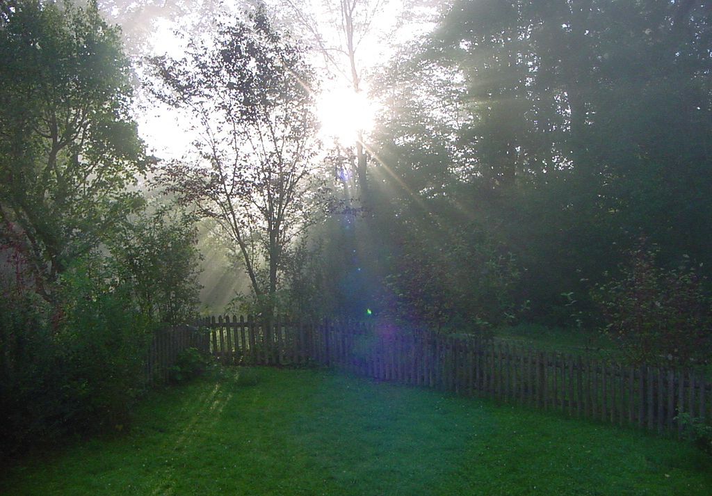 Die Sonne strahlt morgens durch Nebel