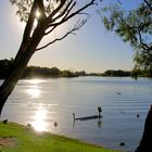 die Sonne strahlt über den Murray River