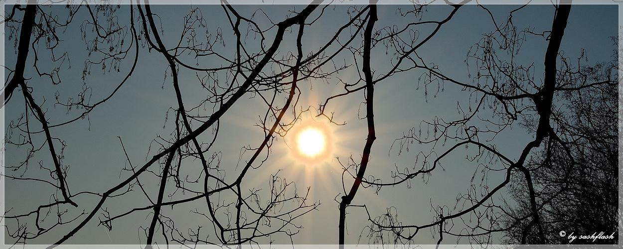 Die Sonne strahlt wieder