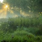 Die Sonne strahlt,das Herz lacht.