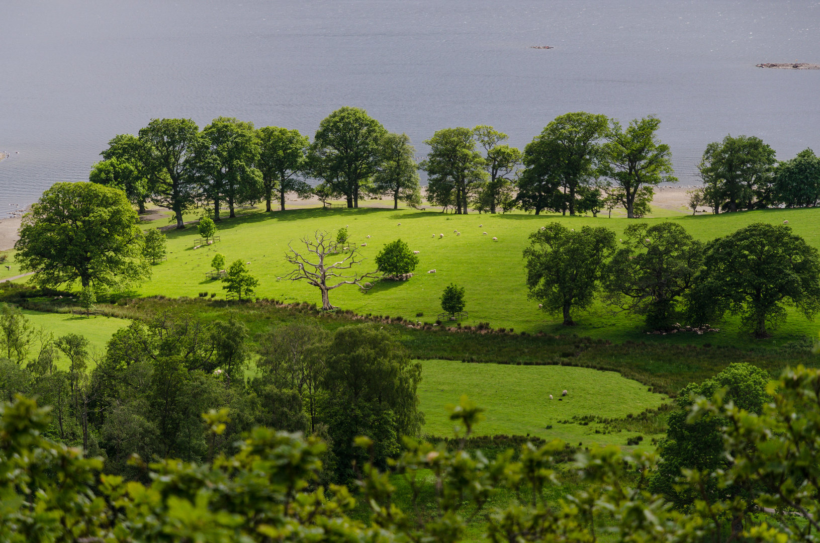 Die Sonne streichelt die Landschaft