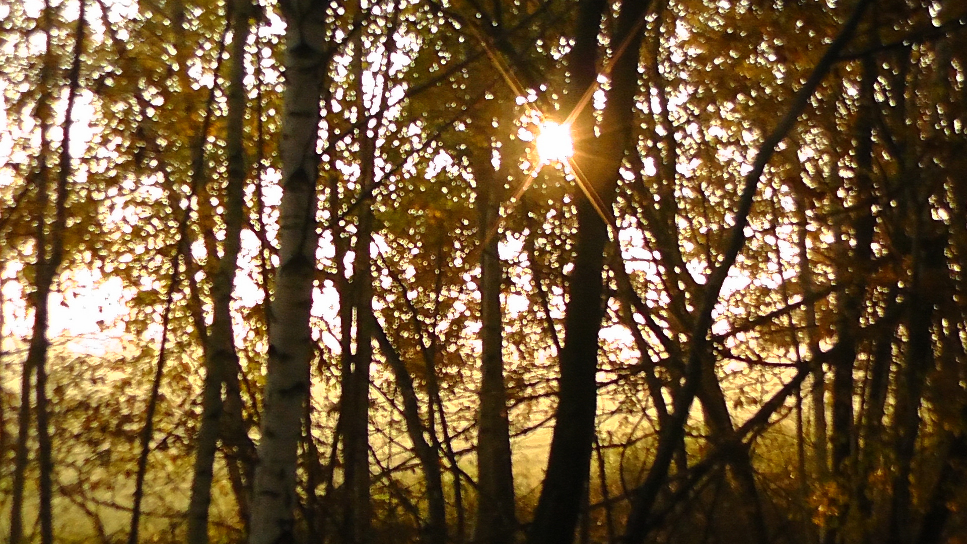 Die Sonne sucht sich ihren Weg