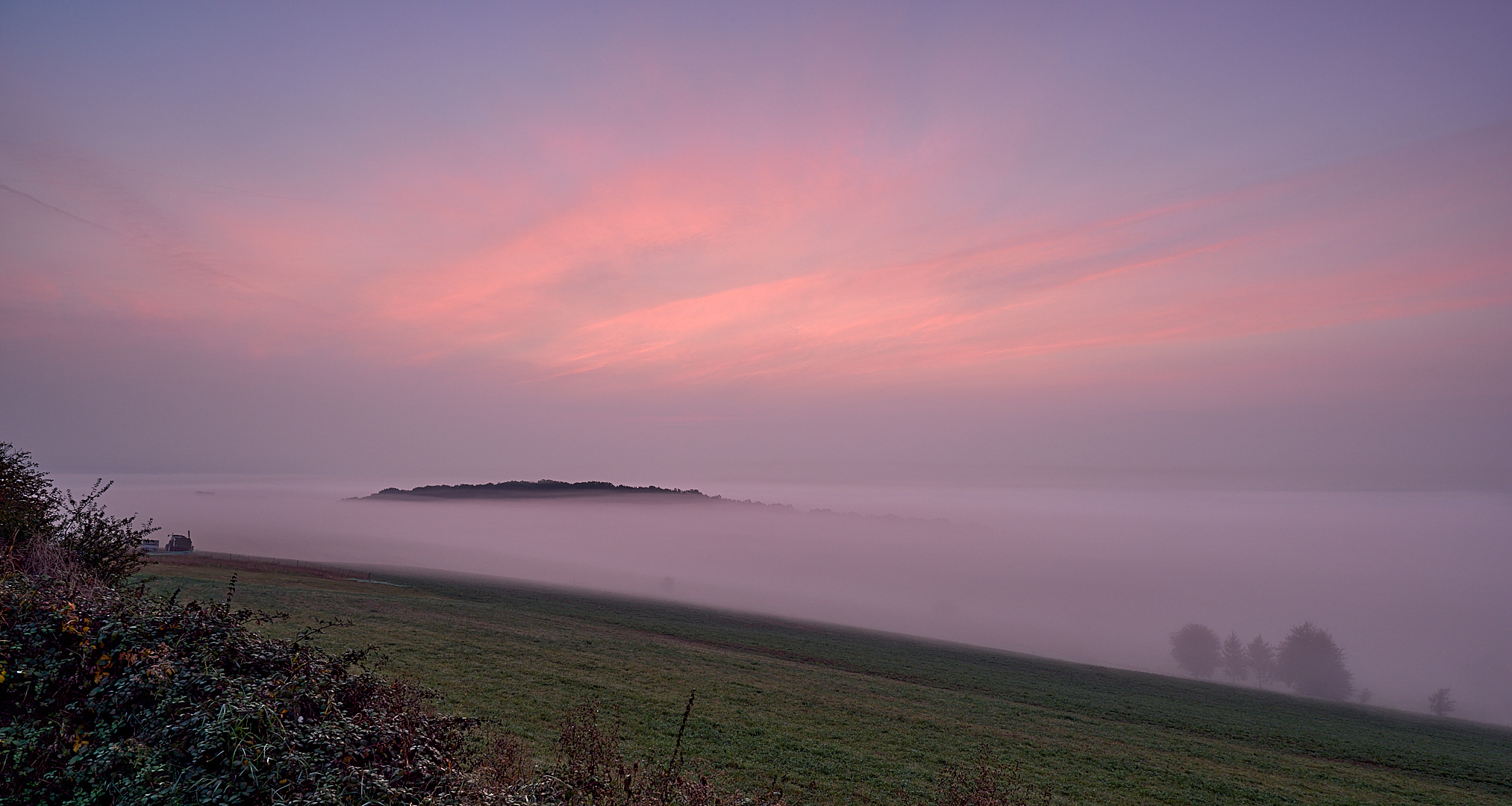 Die Sonne tat sich schwer bei dem Bodennebel und Hochnebel, die Licht-Nebelstimmung und die Farben..