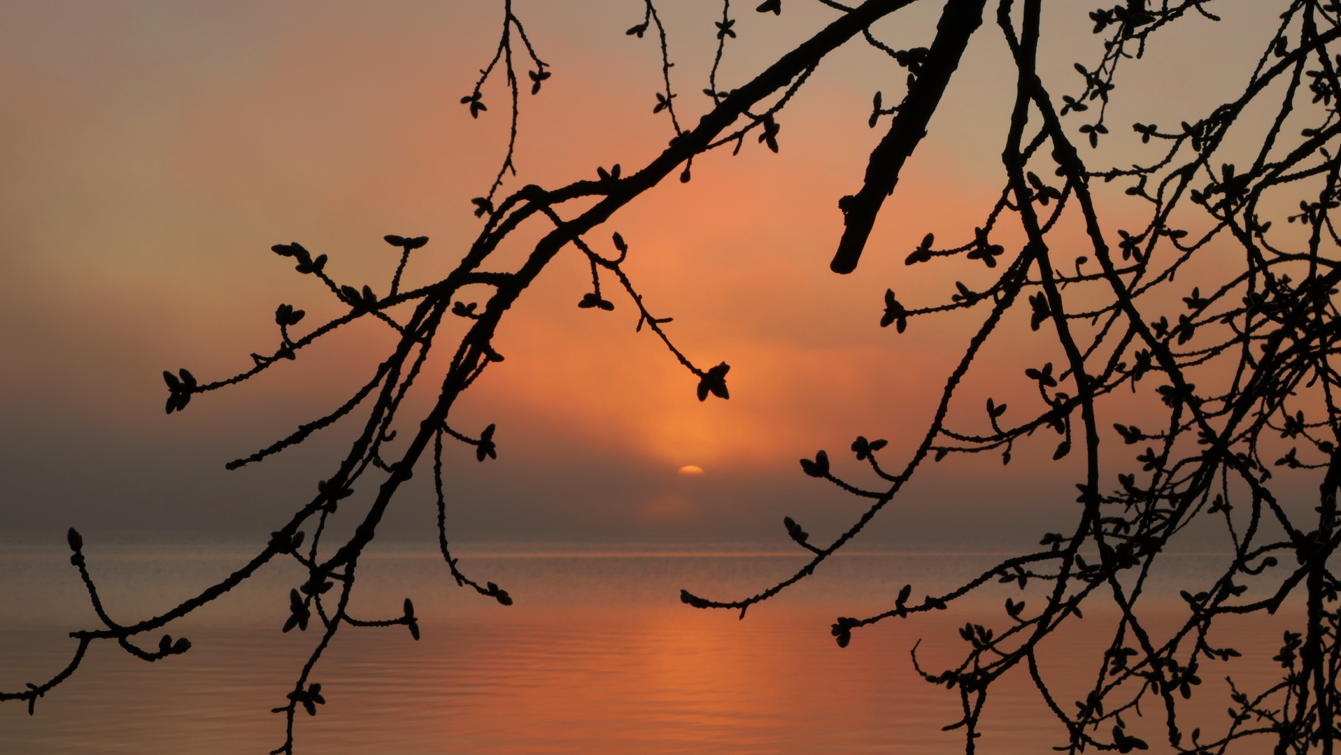 Die Sonne taucht im Nebel unter