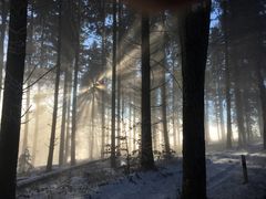 Die Sonne tönt auf alter Weise