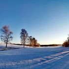 Die Sonne treibt den Winter aus 