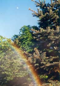 Die Sonne über dem Regenbogen