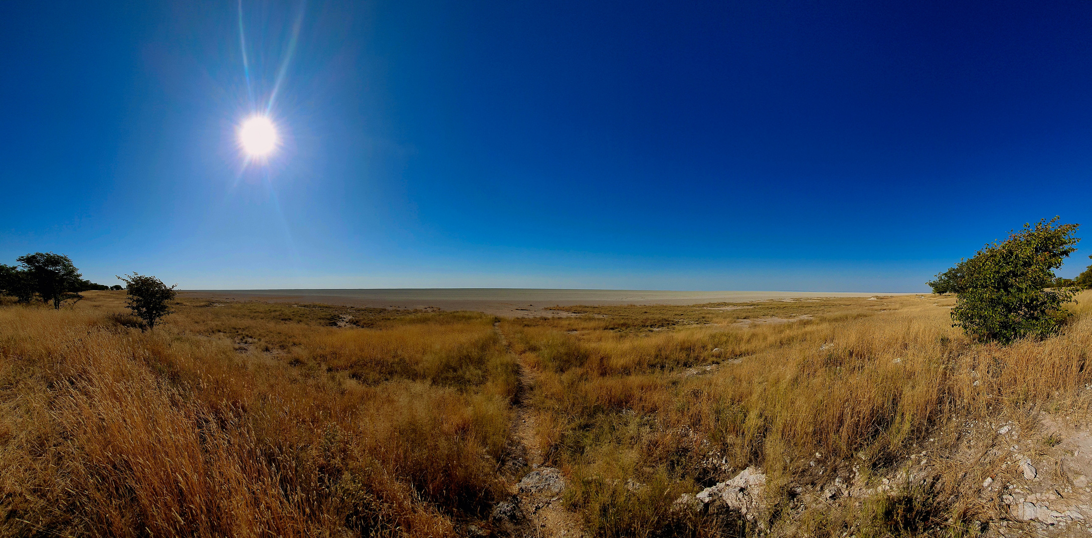 Die Sonne über der Etosha Pfanne