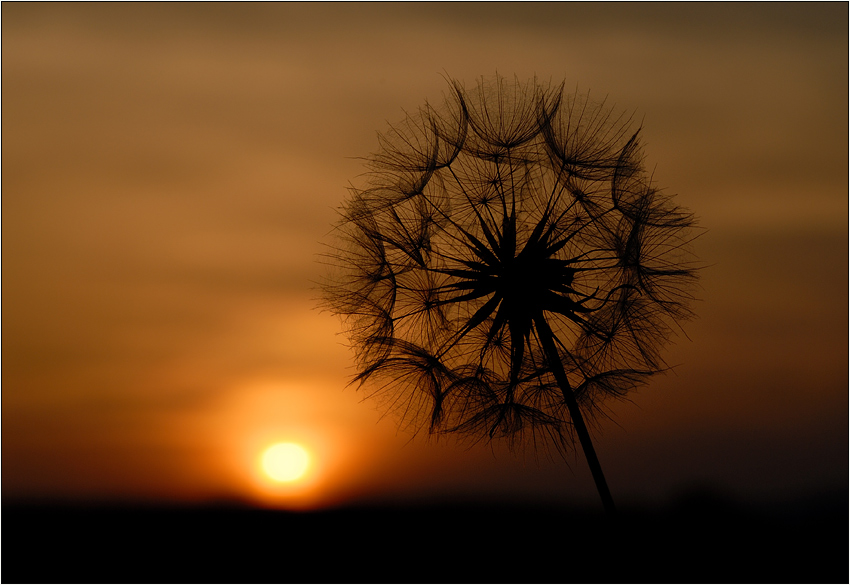 Die Sonne und das Mandala ...