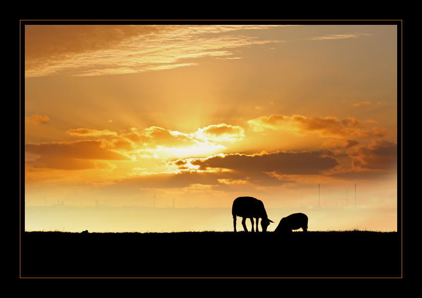 Die Sonne und der Deich