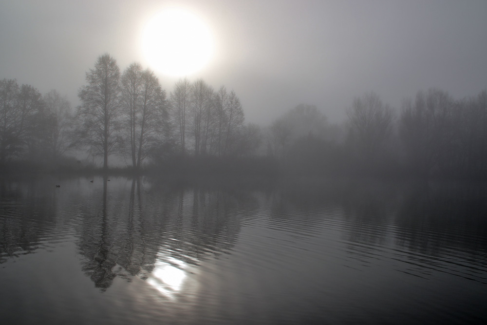 die Sonne und der Nebel