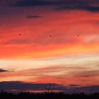 Die Sonne und ihr Wolkenspiel