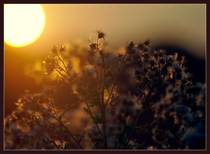 Die Sonne und mehr