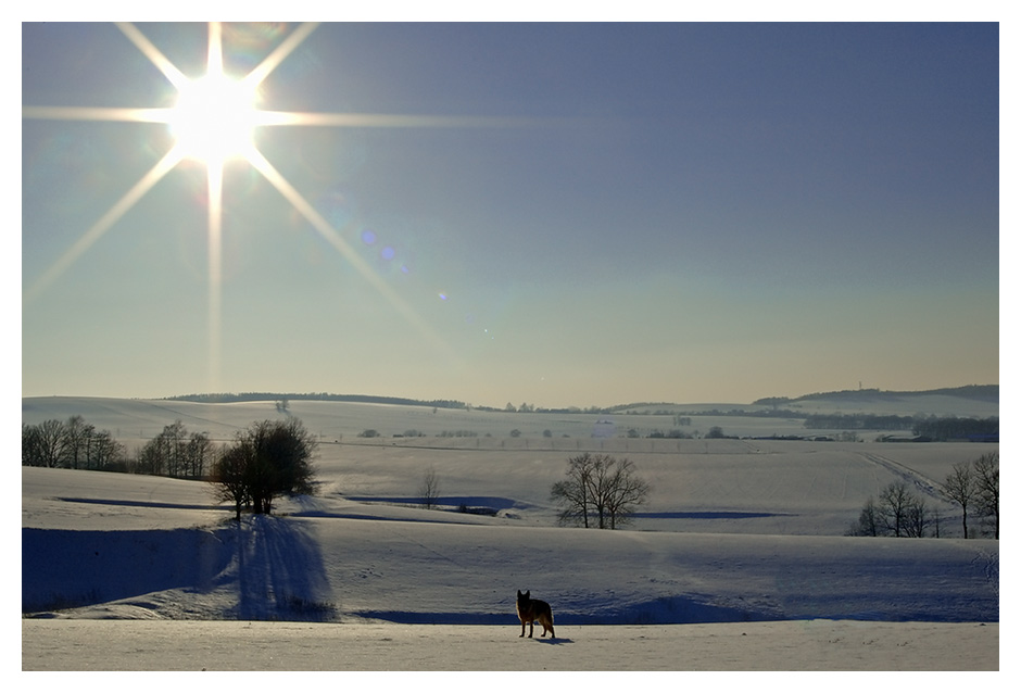 Die Sonne und mein Hund...