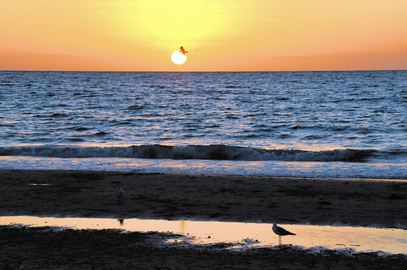 die Sonne verabschiedet sich am Strand von Glenelg