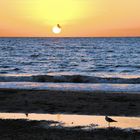 die Sonne verabschiedet sich am Strand von Glenelg