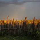 die Sonne verabschiedet sich um dem Regen den Platz zu überlassen