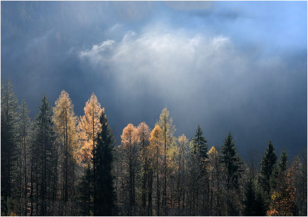 Die Sonne verdrängt den Hochnebel. Der Tag war gerettet.....