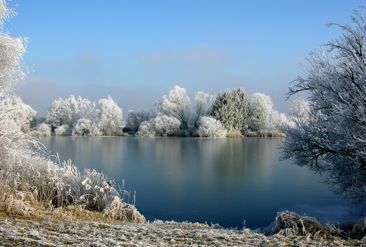 Die Sonne verdrängt den Nebel der diesen Raureif erzeugt hat