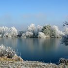 Die Sonne verdrängt den Nebel der diesen Raureif erzeugt hat