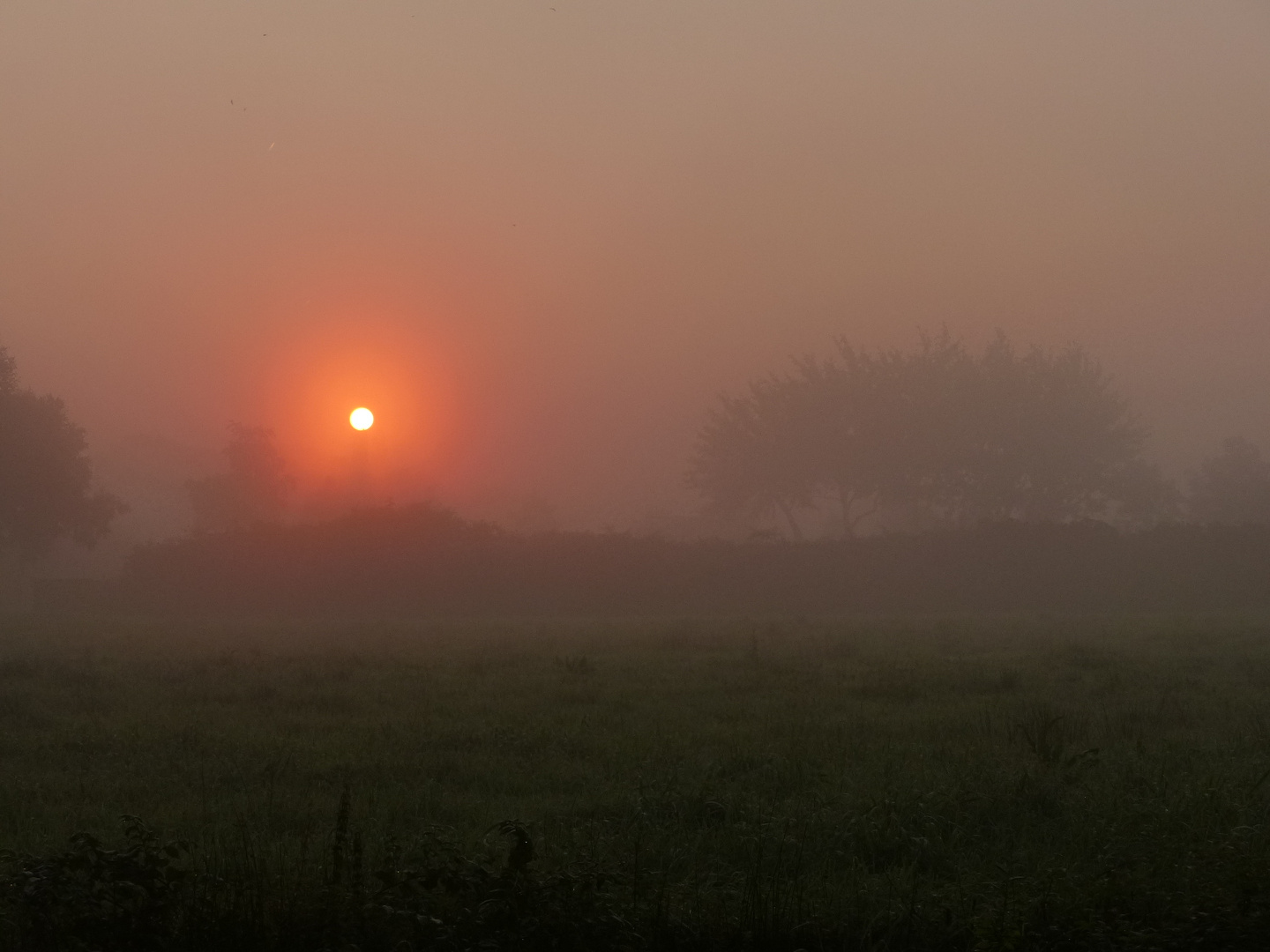 Die Sonne verschwindet im Dunst