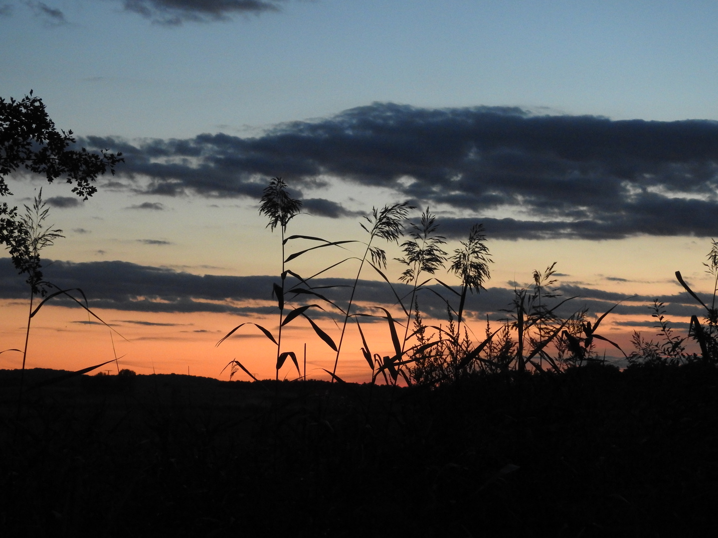 Die Sonne versinkt.