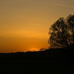 Die Sonne versinkt hinter dem Kloster Altenberg