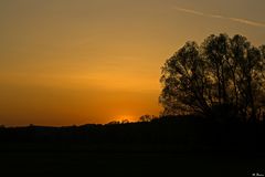 Die Sonne versinkt hinter dem Kloster Altenberg