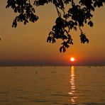 die Sonne versinkt im Bodensee