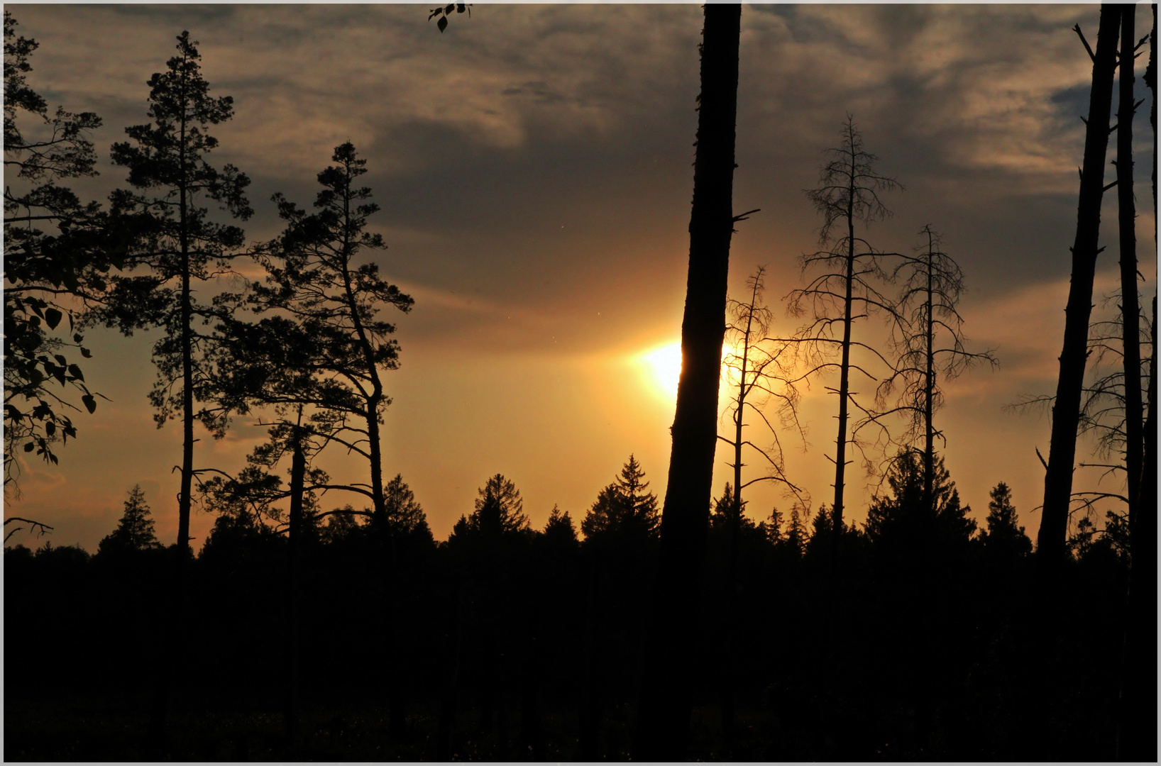 die Sonne versinkt im Moor