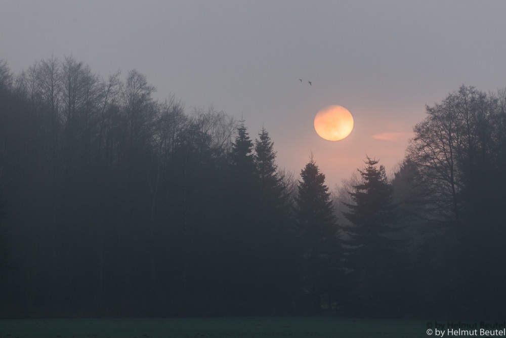 Die Sonne versinkt im Nebel