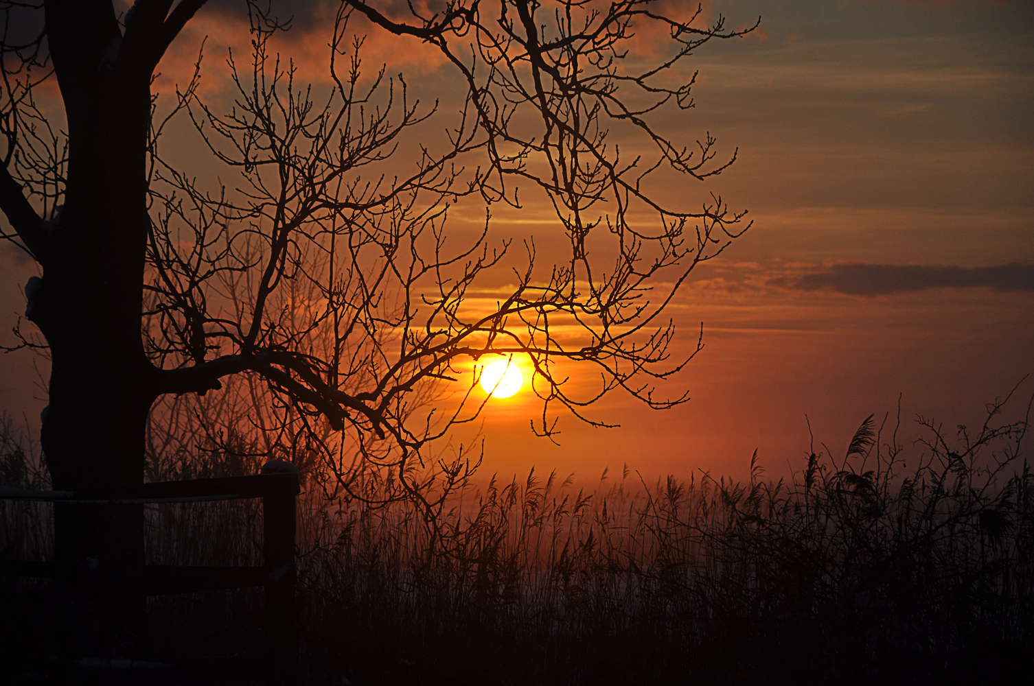 Die Sonne versinkt im Nebel