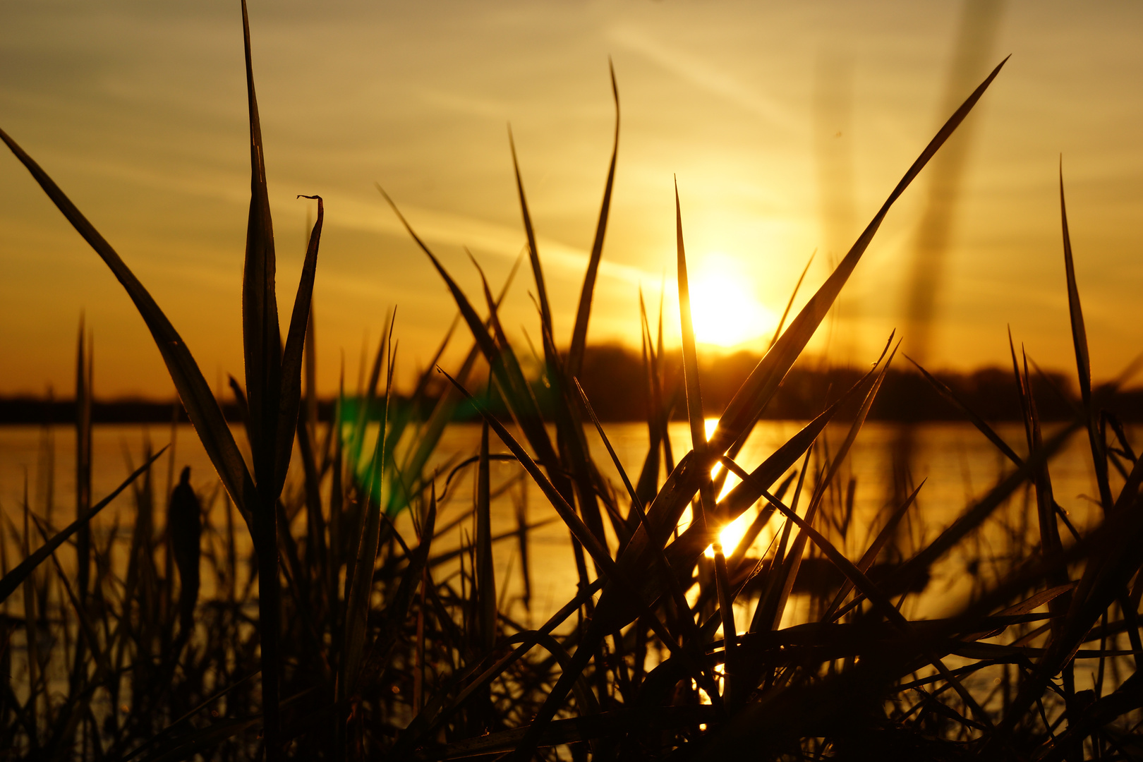 Die Sonne versinkt im Wasser