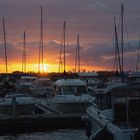 Die Sonne versinkt im Wieker Bodden