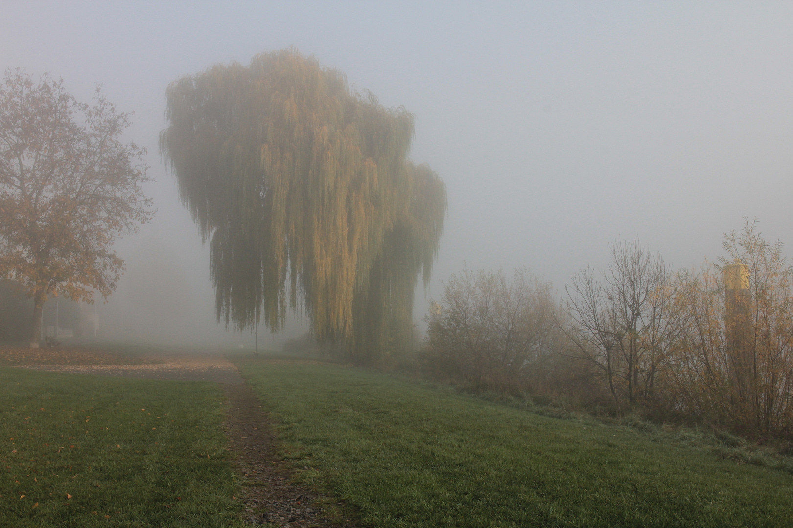 Die Sonne vertreibt den Frühnebel