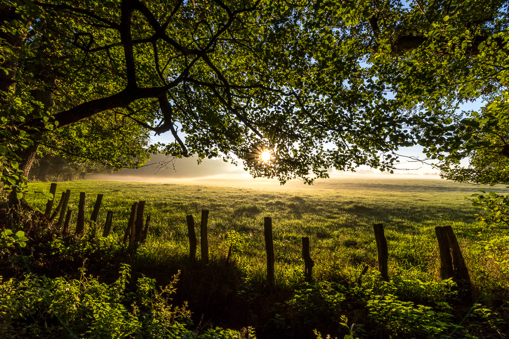 Die Sonne vertreibt den letzten Nebel