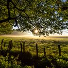 Die Sonne vertreibt den letzten Nebel