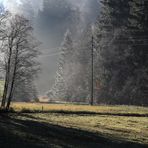 Die Sonne vertreibt den Nebel