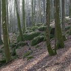 Die Sonne vertreibt den Nebel